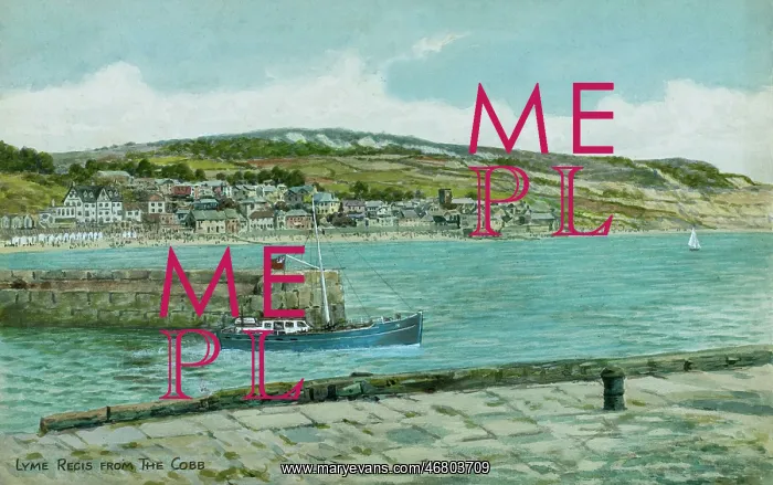 : Lyme Regis, Dorset, viewed from The Cobb : Lyme Regis, Dorset, viewed from The Cobb