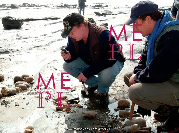 : Lyme Regis field trip, 2003 : Lyme Regis field trip, 2003