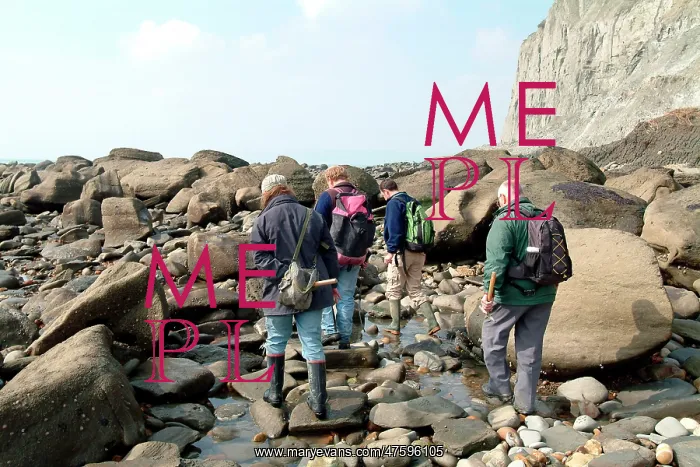 : Lyme Regis field trip, 2003 : Lyme Regis field trip, 2003