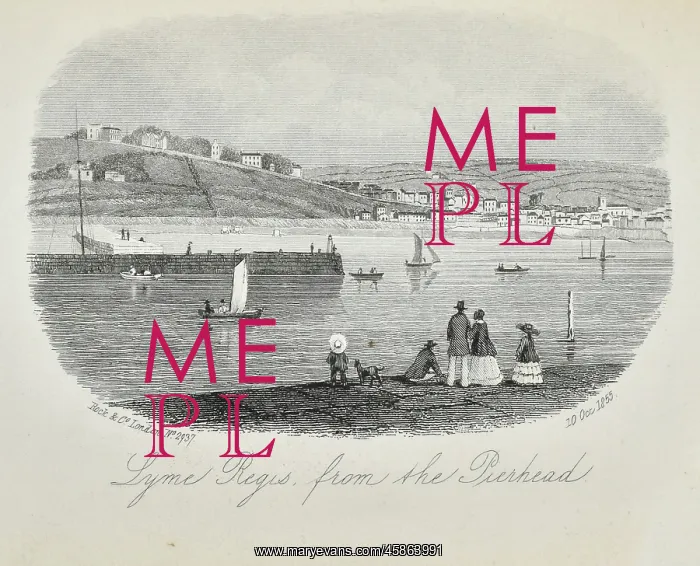 : Lyme Regis, from Pierhead : Lyme Regis, from Pierhead