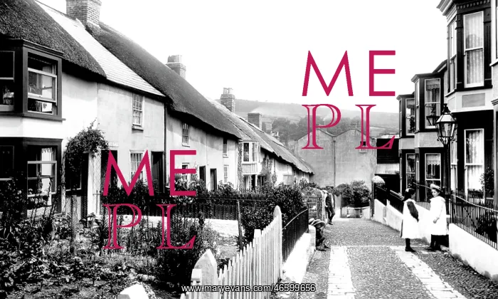  : Lyme Regis, Sherborne Lane 1907