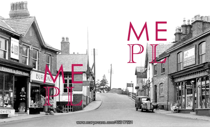 : Lymm, the Bridge c1955