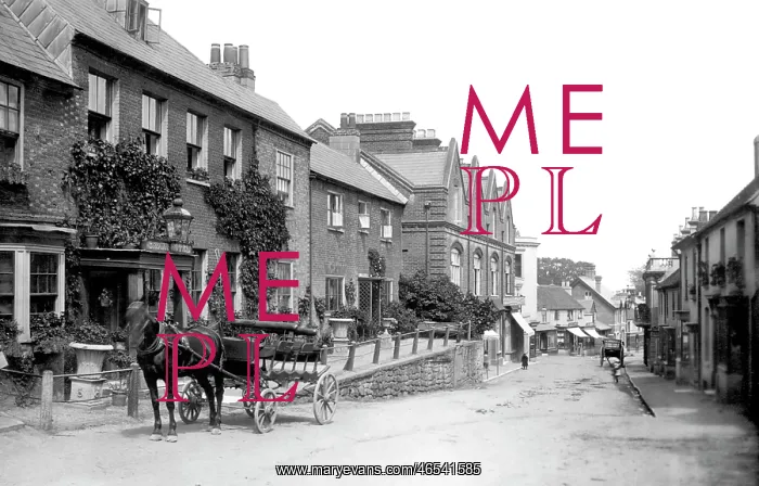  : Lyndhurst, Crown Hotel 1890