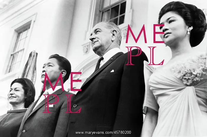 : Lyndon Johnson, president, government : Lyndon Johnson, president, government