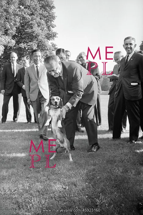 : Lyndon Johnson, president, government : Lyndon Johnson, president, government