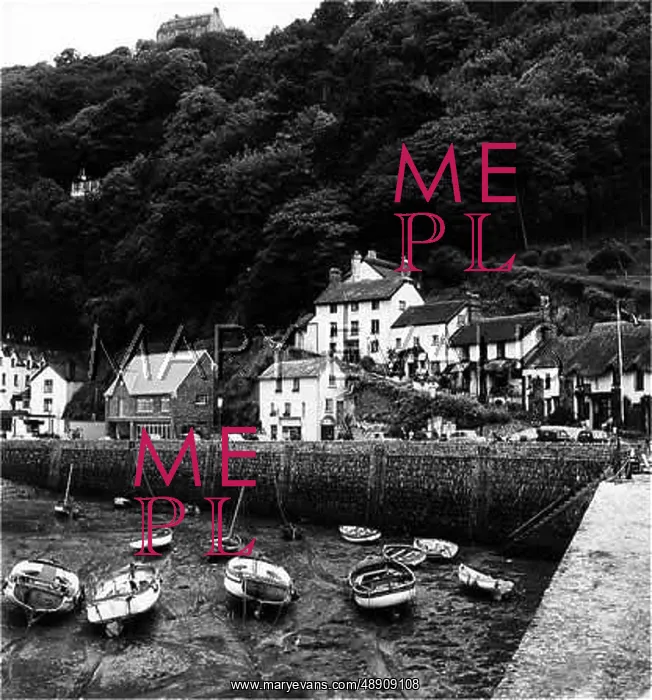 : LYNMOUTH, DEVON : LYNMOUTH, DEVON