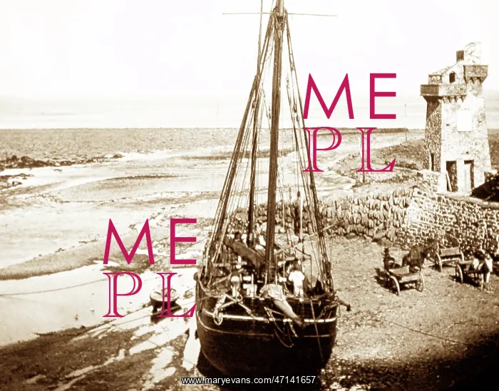  : Lynmouth harbour, Victorian period