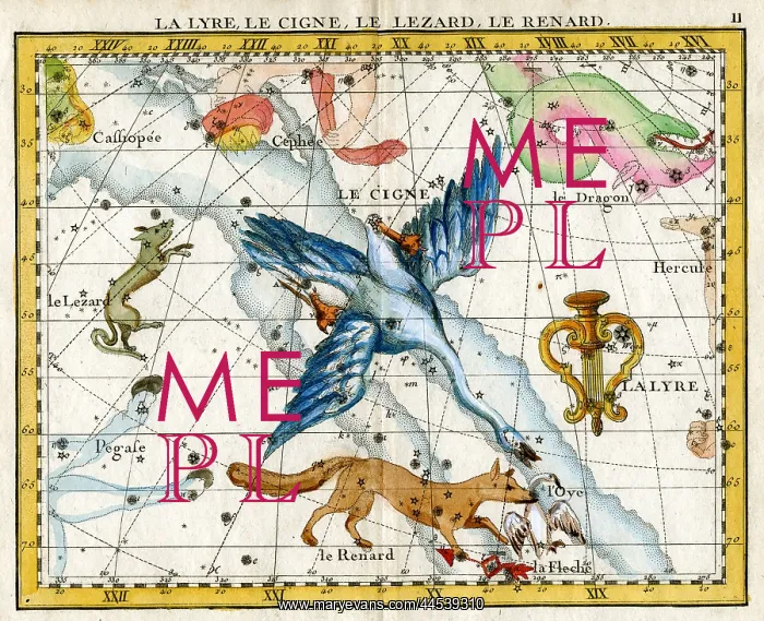  : Lyre, Cygne (Swan), Lizard, Fox