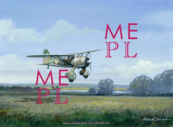 : Lysander Aircraft over Kent Marshes : Lysander Aircraft over Kent Marshes
