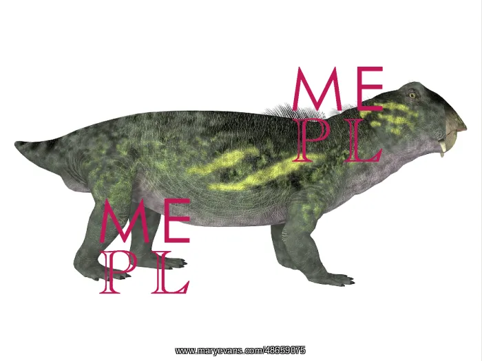 : Lystrosaurus dinosaur, side profile : Lystrosaurus dinosaur, side profile