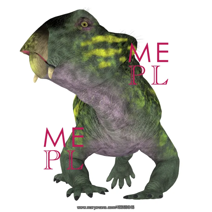 : Lystrosaurus dinosaur, front view : Lystrosaurus dinosaur, front view