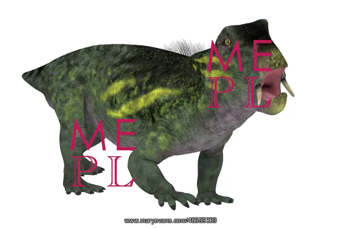 : Lystrosaurus prehistoric animal, side view on : Lystrosaurus prehistoric animal, side view on