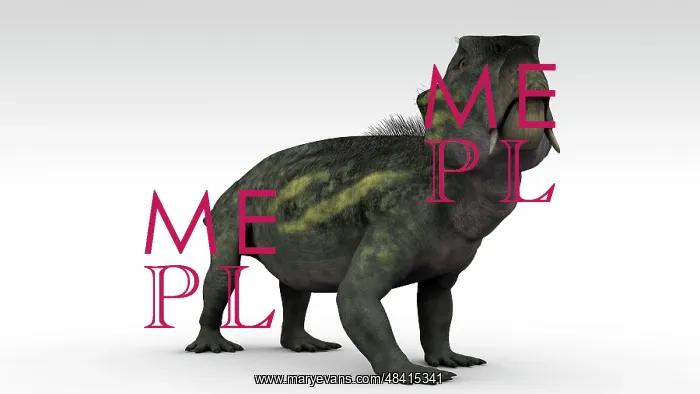 : Lystrosaurus, a therapsid from the Permian and Triassic ? : Lystrosaurus, a therapsid from the Permian and Triassic ?