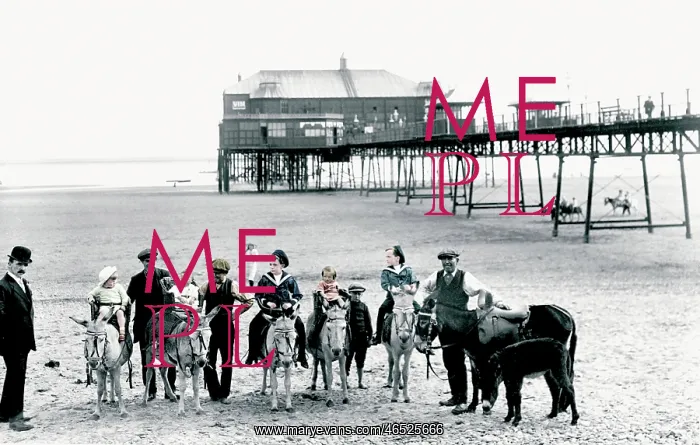 : Lytham, Donkeys 1914