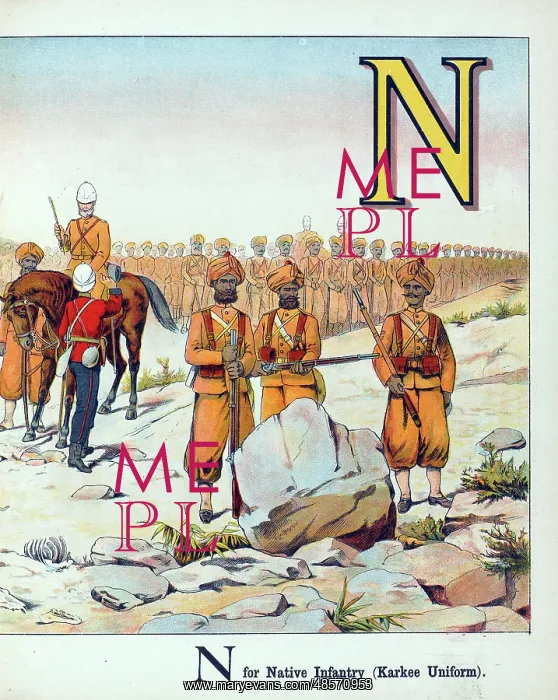 : M for Marine Light Infantry N for Native Infantry : M for Marine Light Infantry N for Native Infantry