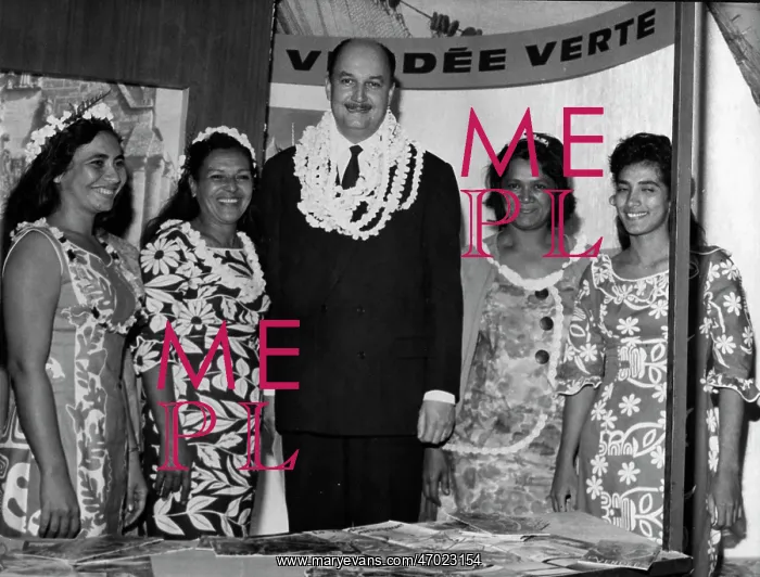 : M. Pierre Dumas : M. Pierre Dumas