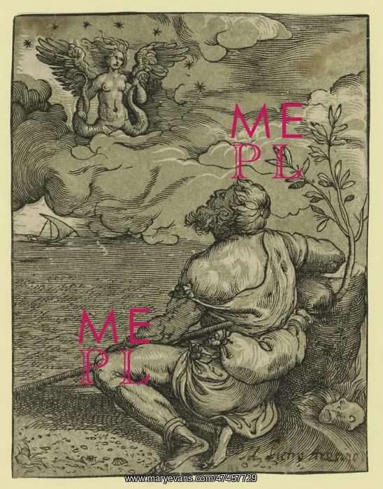 : M. Pietro Aretino : M. Pietro Aretino