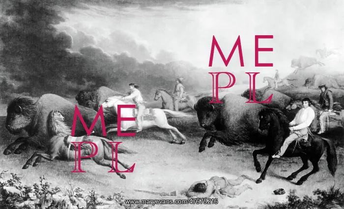 : M @ tis Indian Bison Hunt, 1846 : M @ tis Indian Bison Hunt, 1846
