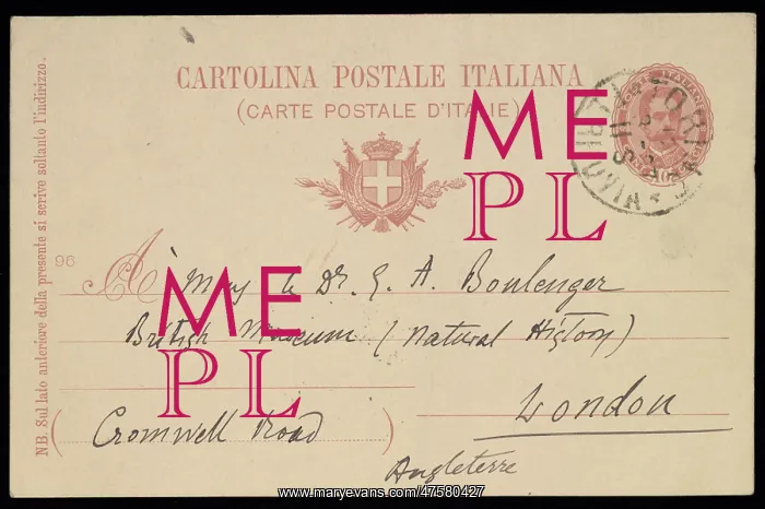 : M.A. Perecca to G.A. Boulenger : M.A. Perecca to G.A. Boulenger