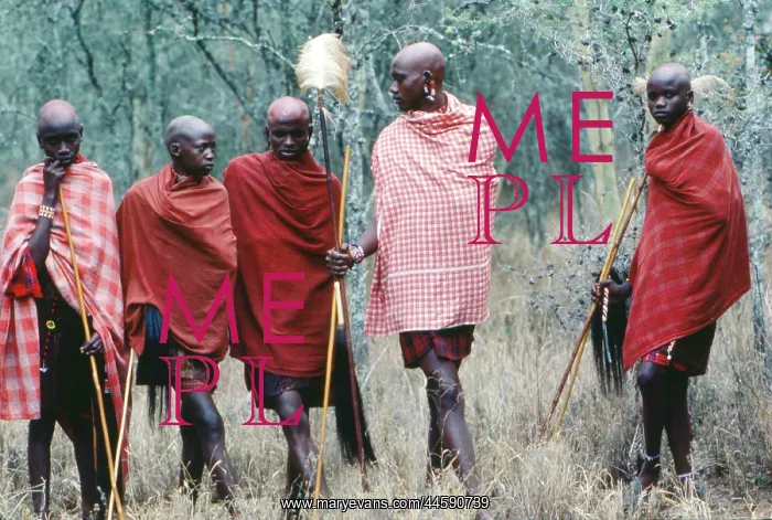 : Maasai initiates, Kajiado