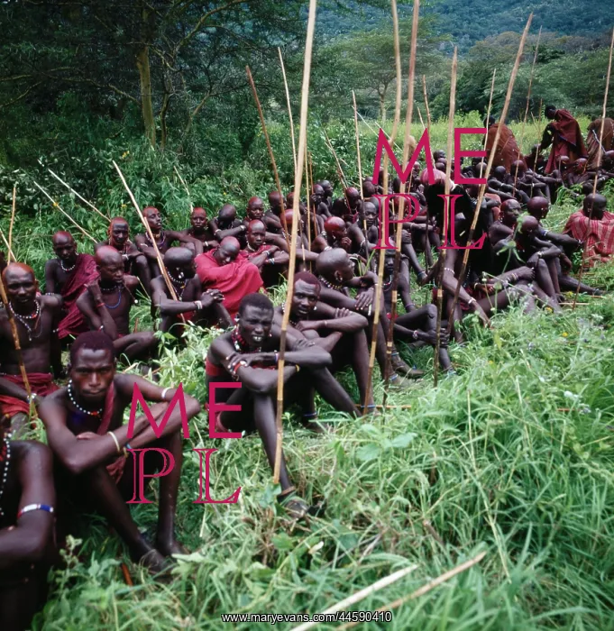 : Maasai warriors following proceedings at an initiation : Maasai warriors following proceedings at an initiation