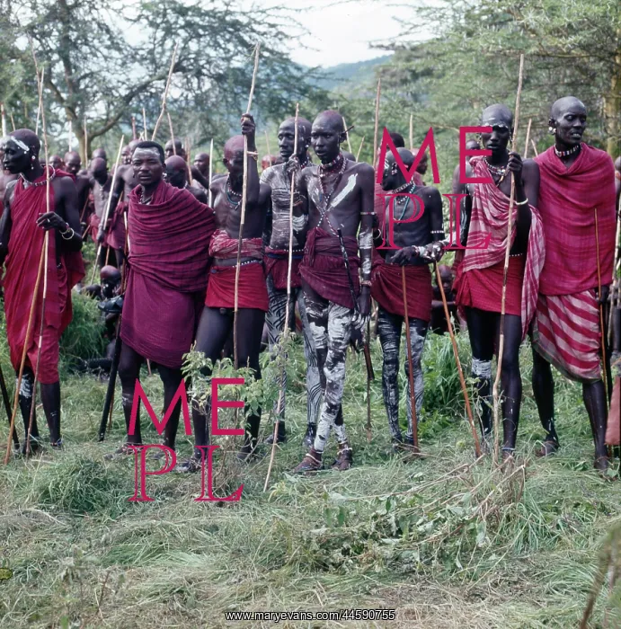 : Maasai warriors during an initiation ceremony : Maasai warriors during an initiation ceremony