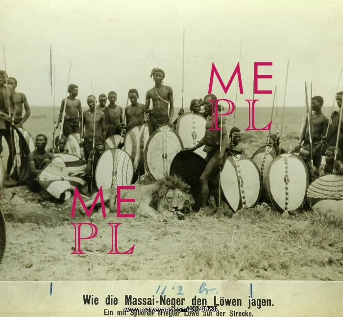 : Maasai warriors on lion hunt, 1909 : Maasai warriors on lion hunt, 1909