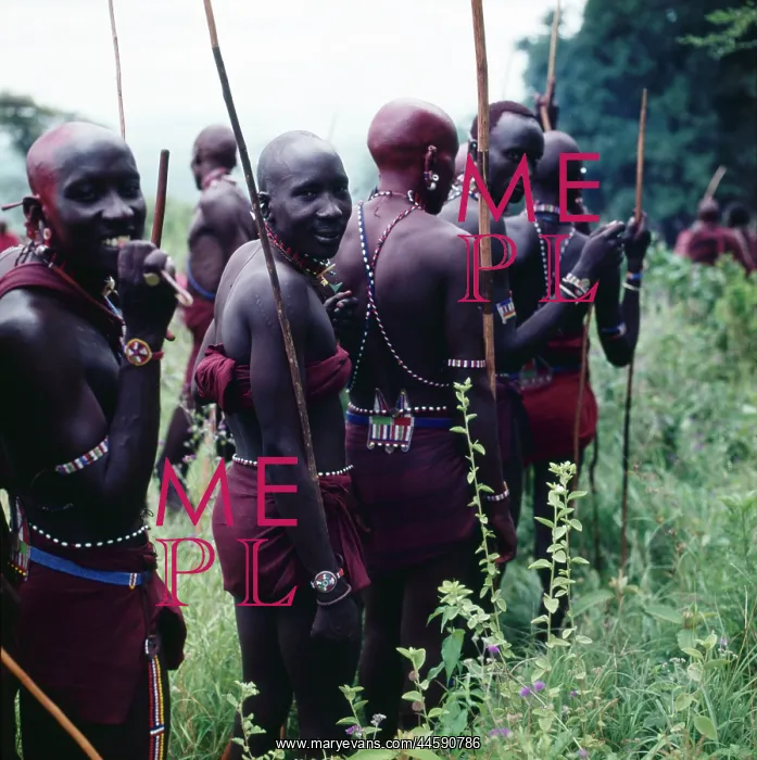 : Maasai warriors ready for initiation : Maasai warriors ready for initiation