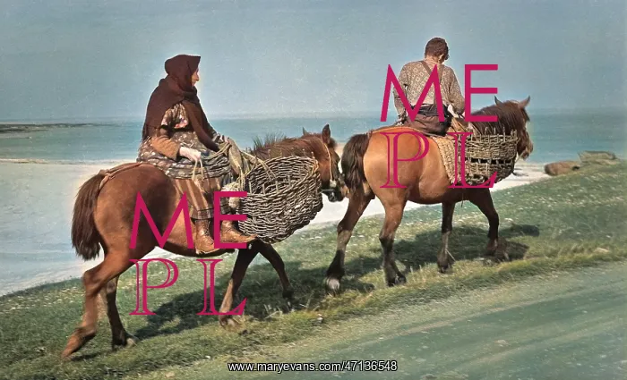  : MAC. Mary Evans Picture Library Explore our Many Contributor Collections: MAC