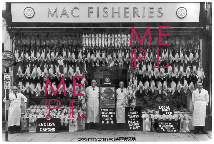 : MAC FISHERIES POULTERERS : MAC FISHERIES POULTERERS
