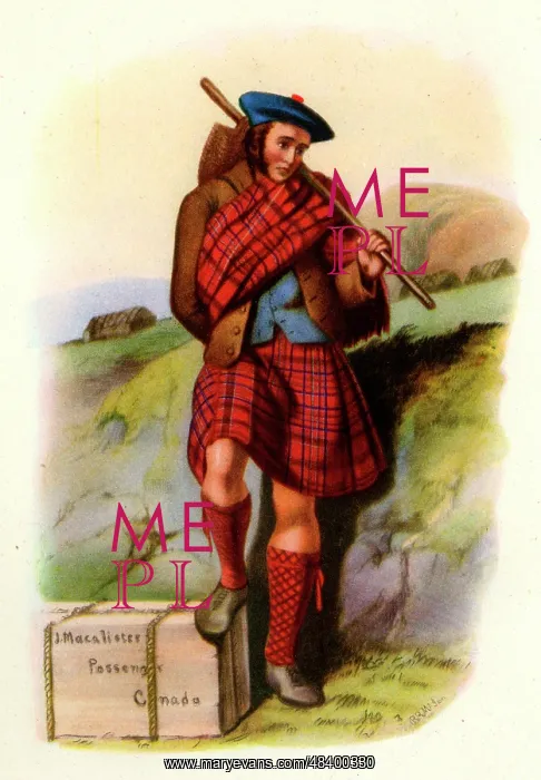 : MacAlister tartan : MacAlister tartan