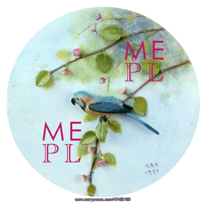 : Macaw ? bird on a branch : Macaw ? bird on a branch