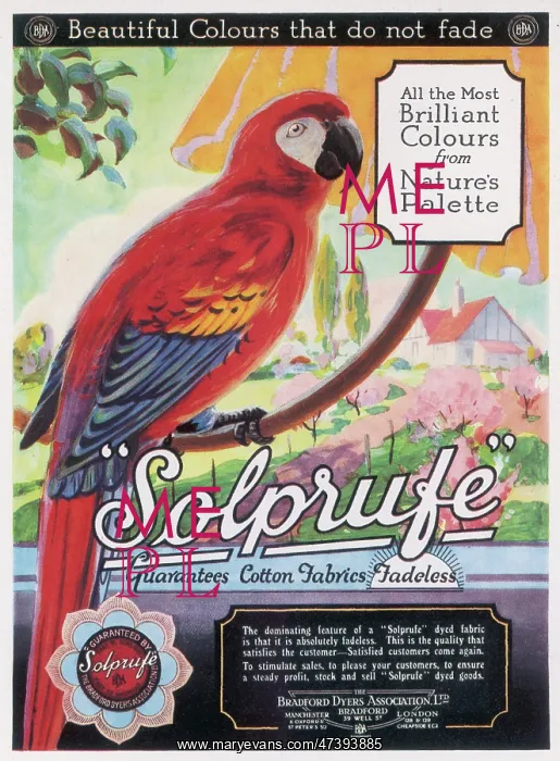 : MACAW / DYE ADVERET 1926 : MACAW / DYE ADVERET 1926