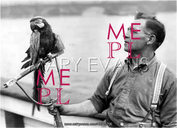 : MACAW AND TRAINER : MACAW AND TRAINER