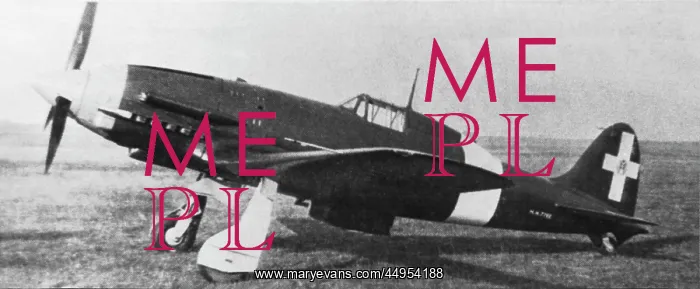 : Macchi C-202 Folgore : Macchi C-202 Folgore