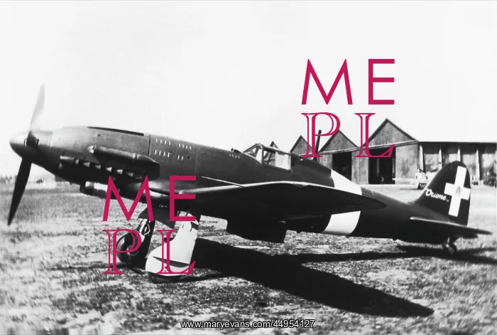  : Macchi C-205 Veltro