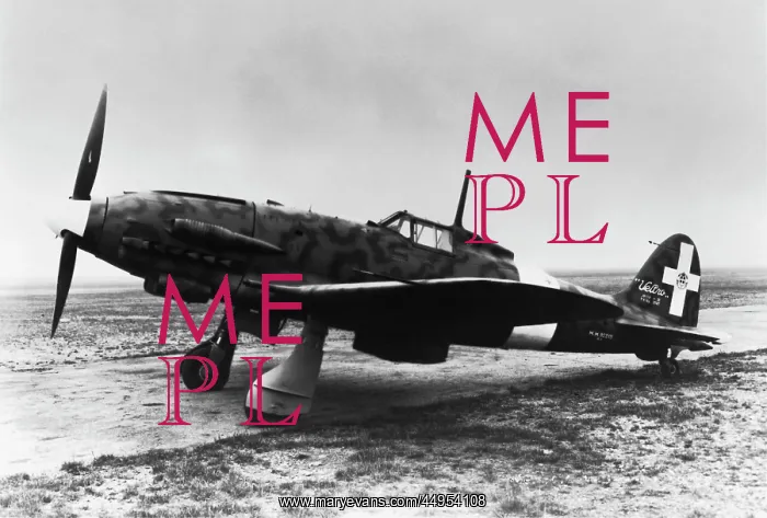 : Macchi C-205N Orione : Macchi C-205N Orione