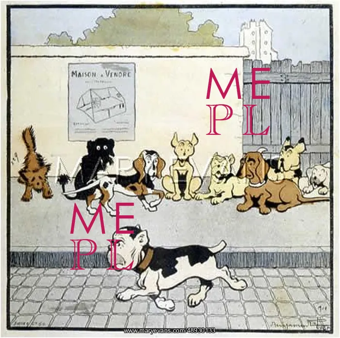  : MACHO DOG PASSES