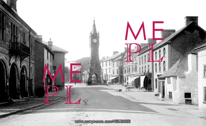  : Machynlleth, the Clock Tower 1895
