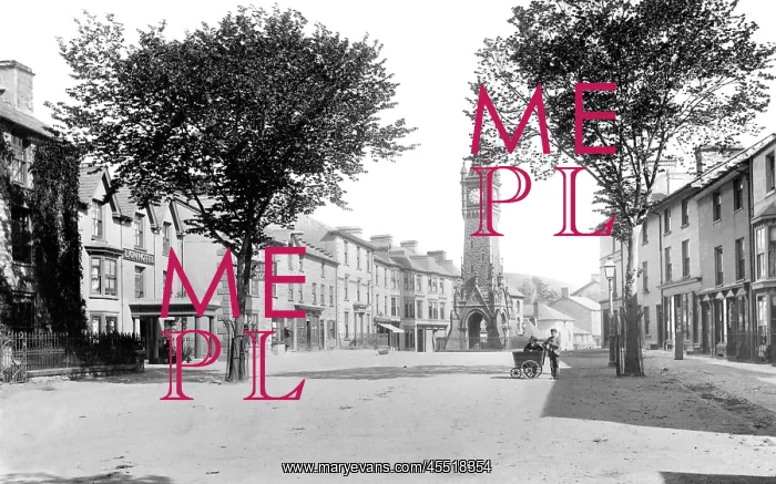  : Machynlleth, Pentrerhedyn Street 1896