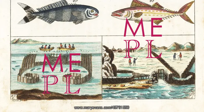 : Mackerel fishing methods, pilot fish and painted mackerel : Mackerel fishing methods, pilot fish and painted mackerel