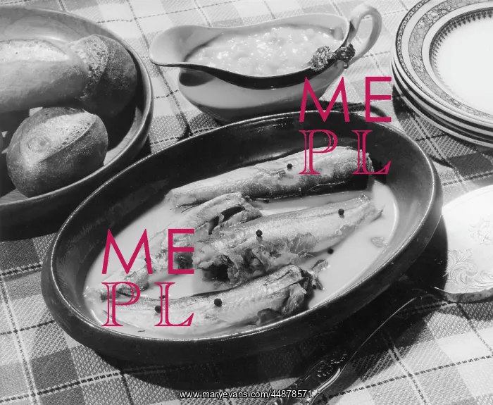  : MACKERELS IN SAUCE