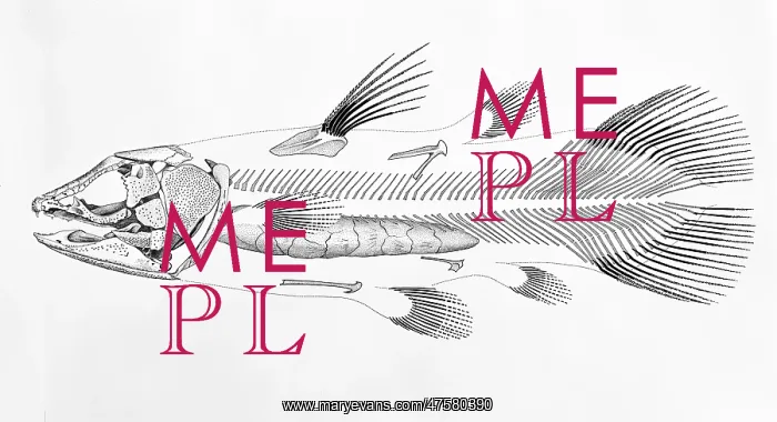 : Macropoma lewesiensis, an extinct coelacanth fish : Macropoma lewesiensis, an extinct coelacanth fish
