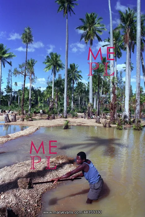 : Madagascar - Sapphire mining : Madagascar - Sapphire mining