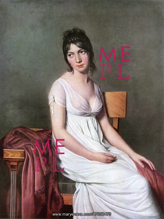 : Madame Hamelin by Jacques-Louis David : Madame Hamelin by Jacques-Louis David