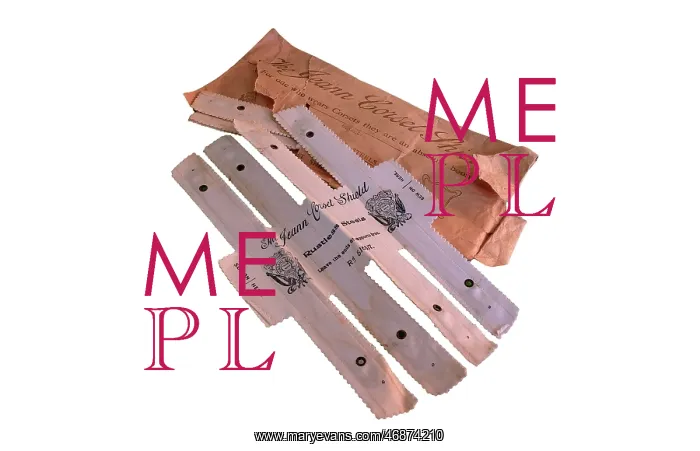 : Madame Jeann corset shield : Madame Jeann corset shield
