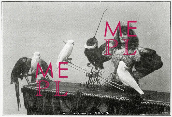 : Madame Marzella with her birds : Madame Marzella with her birds