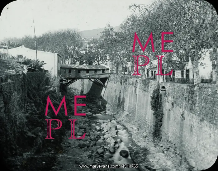 : Madeira, Barranco and Covered Bridge : Madeira, Barranco and Covered Bridge