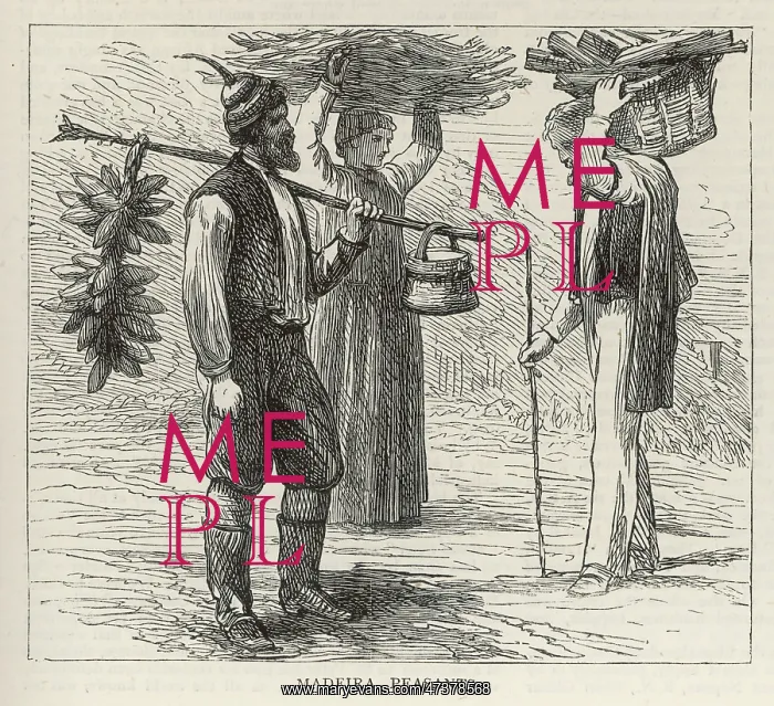 : MADEIRA PEASANTS : MADEIRA PEASANTS