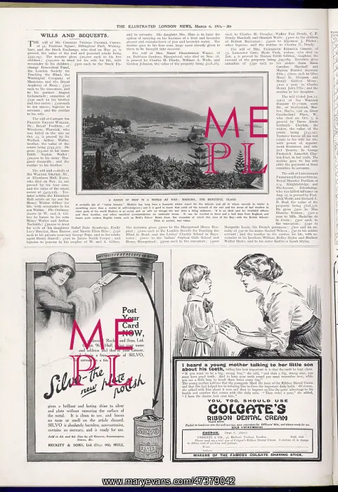 : MADEIRA PICTURE PAGE : MADEIRA PICTURE PAGE